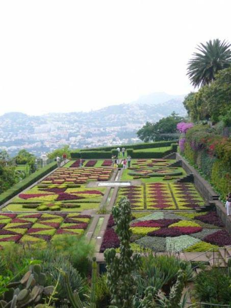 Apartamentos Jardim Funchal  Exteriör bild