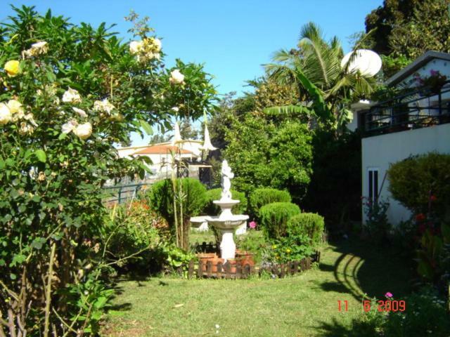 Apartamentos Jardim Funchal  Exteriör bild