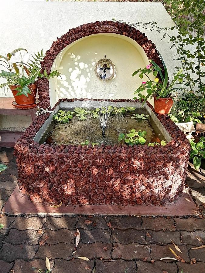 Apartamentos Jardim Funchal  Exteriör bild